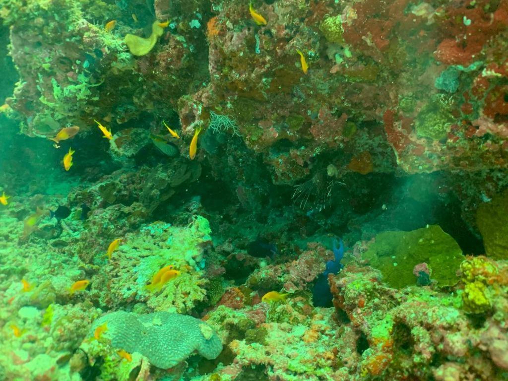 Beach Star Maldives Hangnaameedhoo Eksteriør bilde